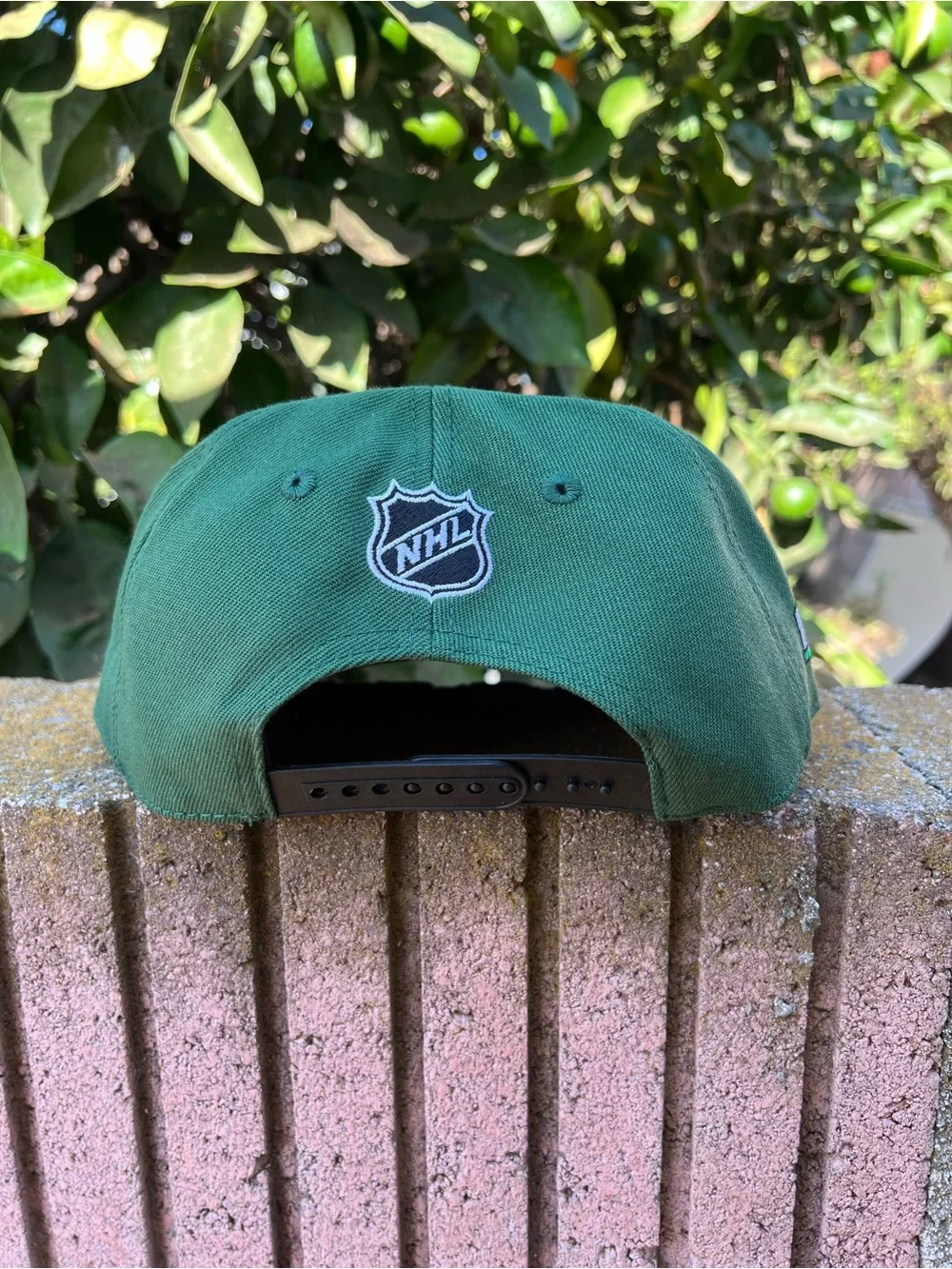 VANCOUVER CANUCKS SNAPBACK HAT